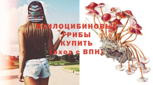 мескалин Киреевск