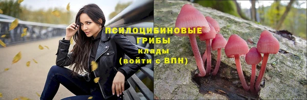 мескалин Киреевск