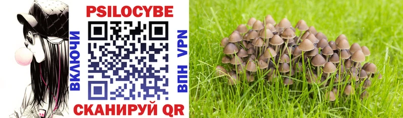 Галлюциногенные грибы Magic Shrooms  Купить где  Грязовец 